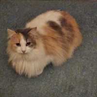 Photo of Princess