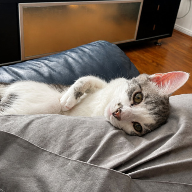 Photo of Oliver