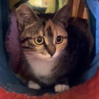 Photo of Tamika