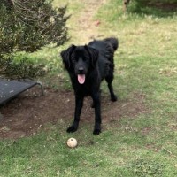 Photo of Arlo