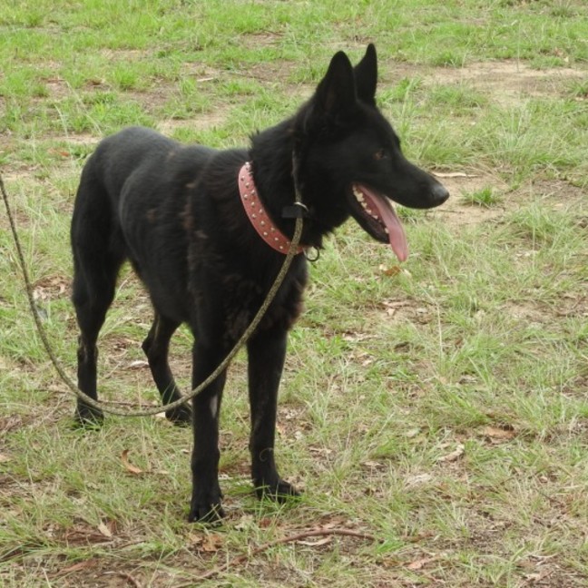 Photo of Lilith Aka Lily