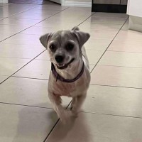 Photo of Chase