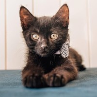 Photo of Spud