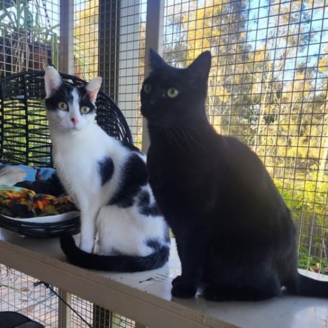 Photo of Leo & Pascal