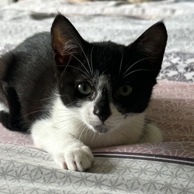 Photo of Ryder 😻🐾