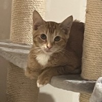 Photo of Jaffa