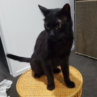 Photo of Tucker
