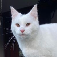 Photo of Birdie & Boo🐦