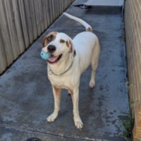 Photo of Dakota