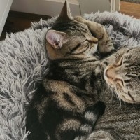 Photo of Tabitha 