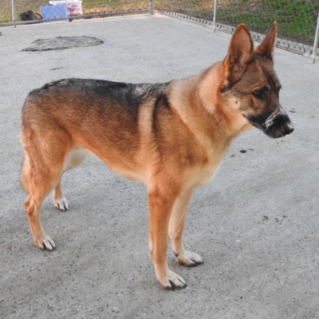 Photo of Trigger