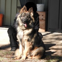 Photo of Tyson