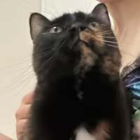Photo of Lucy