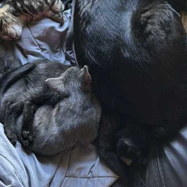 Photo of Dee   Located In Preston