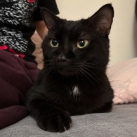 Photo of 🥒 Pickles 🥒