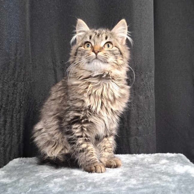 Photo of Cassie