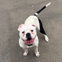 Photo of Billy