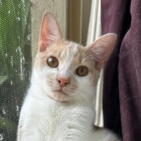 Photo of Niklaus