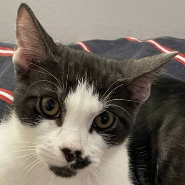 Photo of Jasper