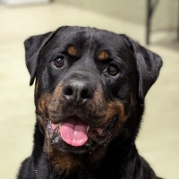 Photo of Wally