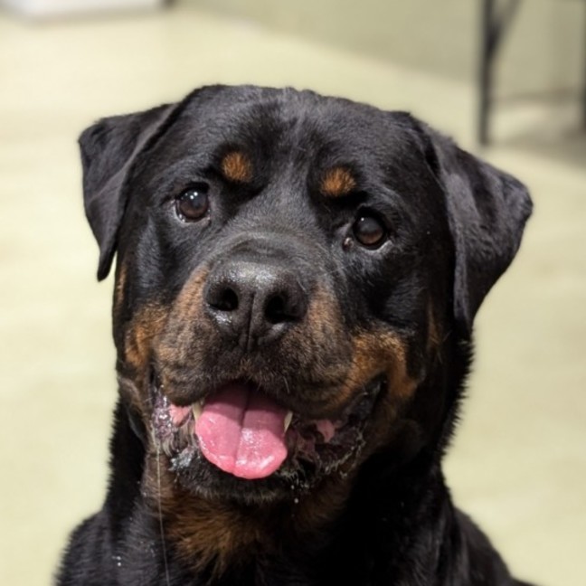 Photo of Wally