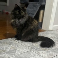 Photo of Mariska And Antoni ❣️❣️