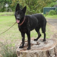 Photo of Lilith Aka Lily