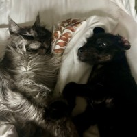 Photo of Millie ❤️🌞