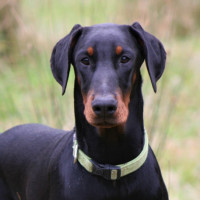 Photo of Miss Monkey