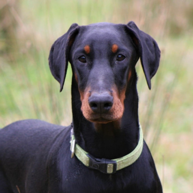 Photo of Miss Monkey