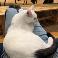 Photo of Ferdi 💙💙