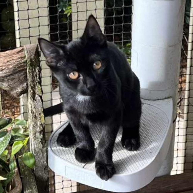 Photo of Skittles