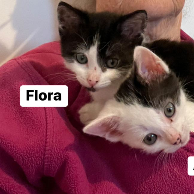 Photo of Adelina & Flora