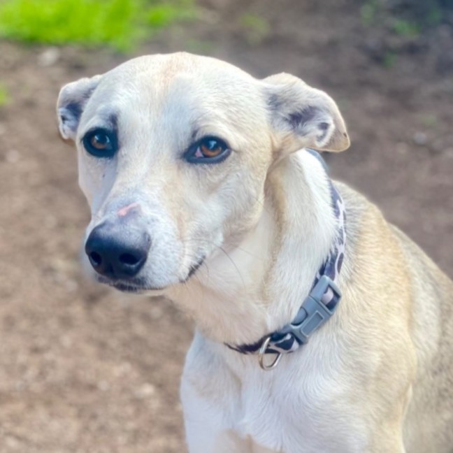 Photo of Stanley