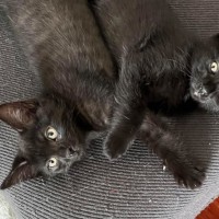 Photo of 💚 George 💚