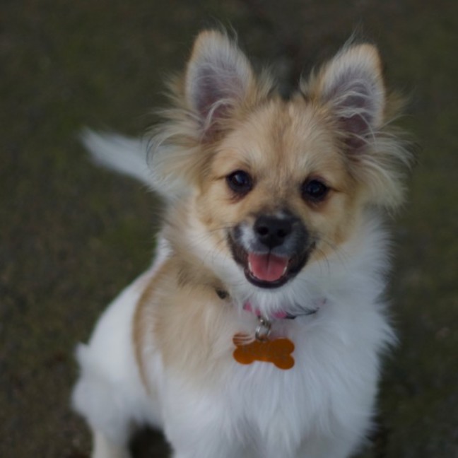 Photo of ☀️ Sonny ☀️