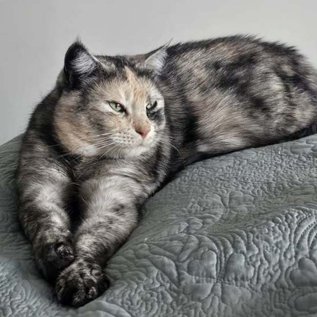Photo of Katniss