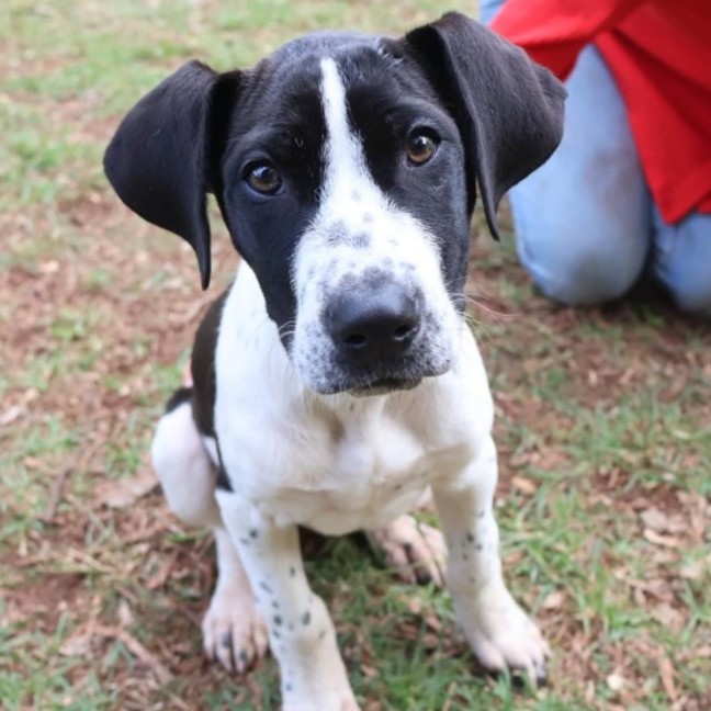 Photo of Betty