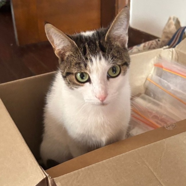 Photo of Elphie