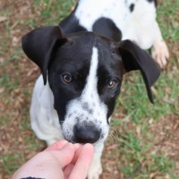 Photo of Betty