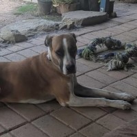 Photo of Molly 