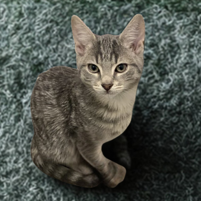 Photo of Fred