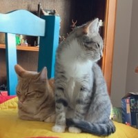 Photo of Diana   Loves Affection