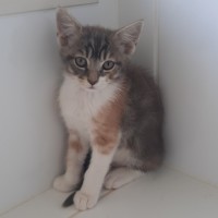 Photo of Connie