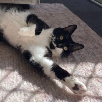 Photo of Zozo ❤️😻