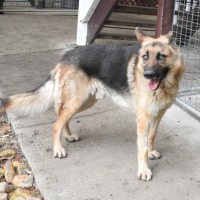 Photo of Zorro