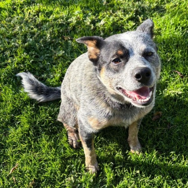 Photo of Hazel