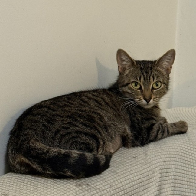 Photo of Molly
