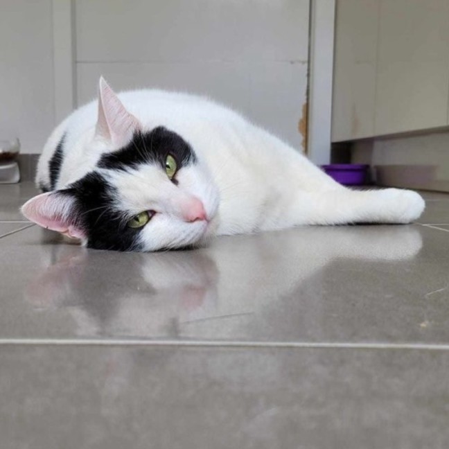 Photo of Tim Tam & Kit Kat