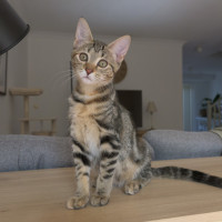 Photo of Betty Lou